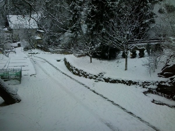 Winter